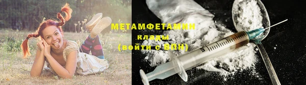 прущие грибы Михайловка
