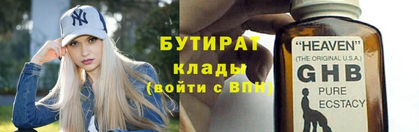 прущие грибы Михайловка