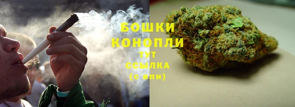 прущие крисы Михайловск