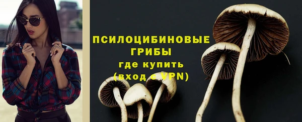 прущие крисы Михайловск