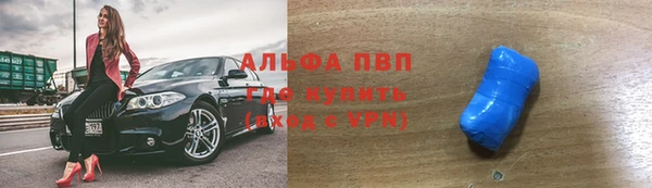 прущие грибы Михайловка