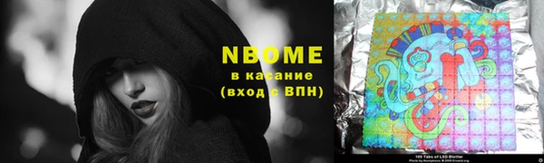 прущие грибы Михайловка