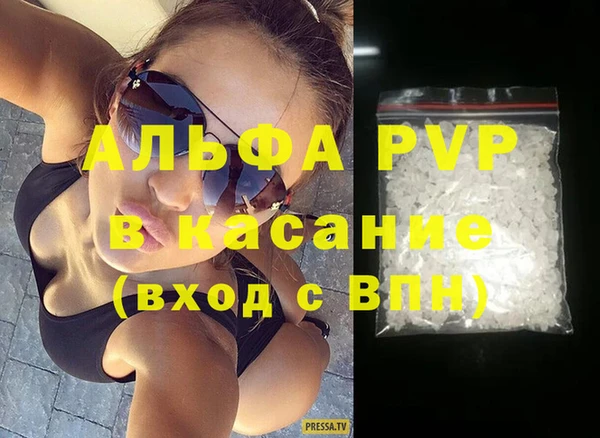 прущие грибы Михайловка