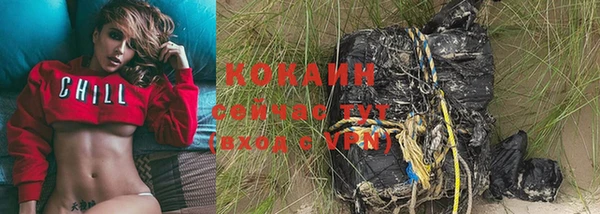 прущие грибы Михайловка