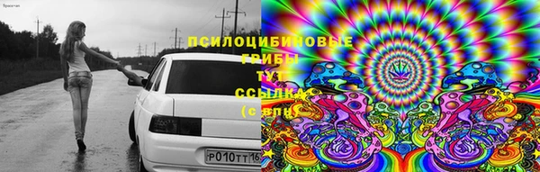 кокс Михайлов