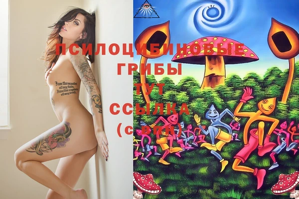 прущие крисы Михайловск
