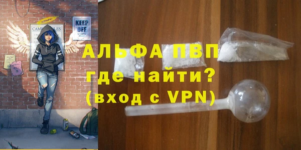 прущие грибы Михайловка