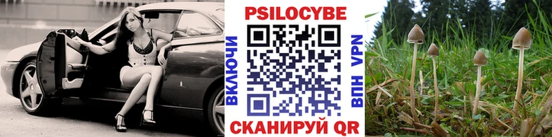 Псилоцибиновые грибы мицелий Ангарск